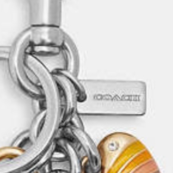 NWT Coach Key Cluster Bag Charm Keychain - Picture 5 of 8